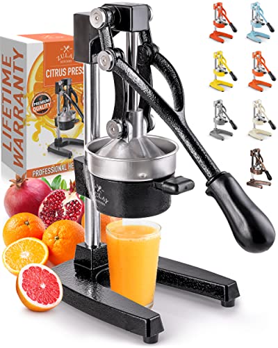 Best Juicers for Bartenders